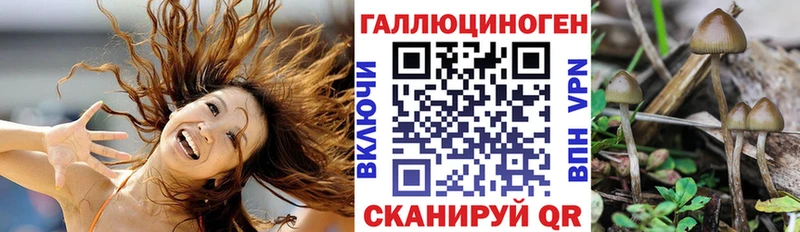 Галлюциногенные грибы GOLDEN TEACHER  где найти   ссылка на мегу ТОР  Волжск 