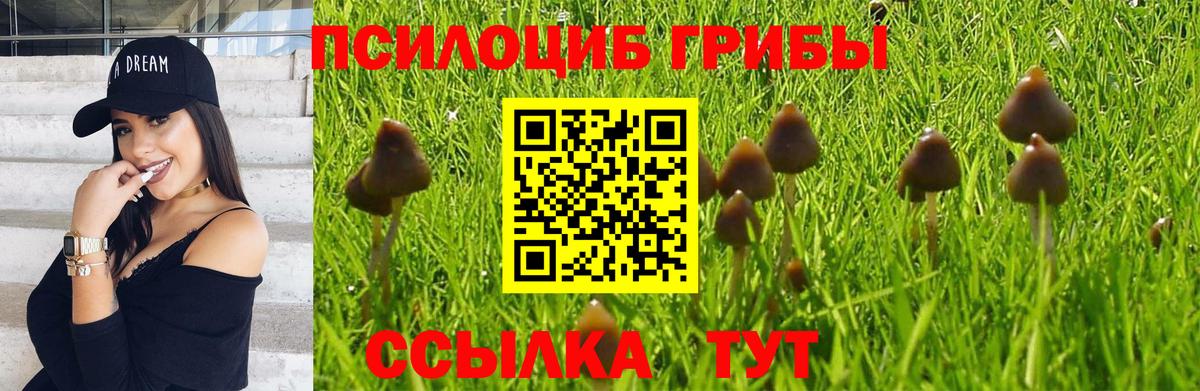 Галлюциногенные грибы MAGIC MUSHROOMS  Вход с VPN  Волжск  Галлюциногенные грибы Psilocybe 